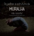 /album/galeria-de-fotos/a-muralha-jpg/